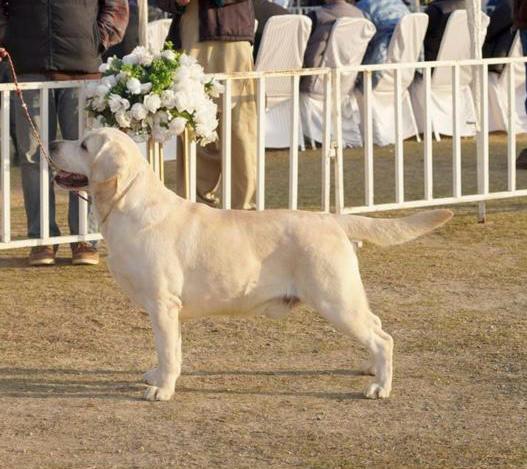 Ammy of TM Farms